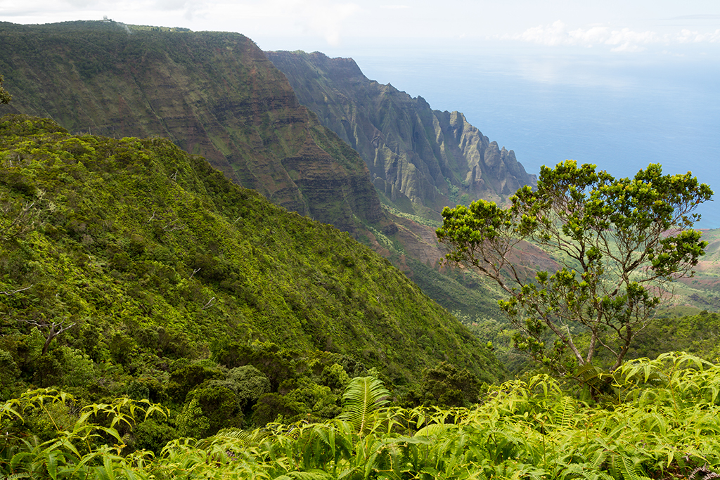 Kauai - 034.jpg